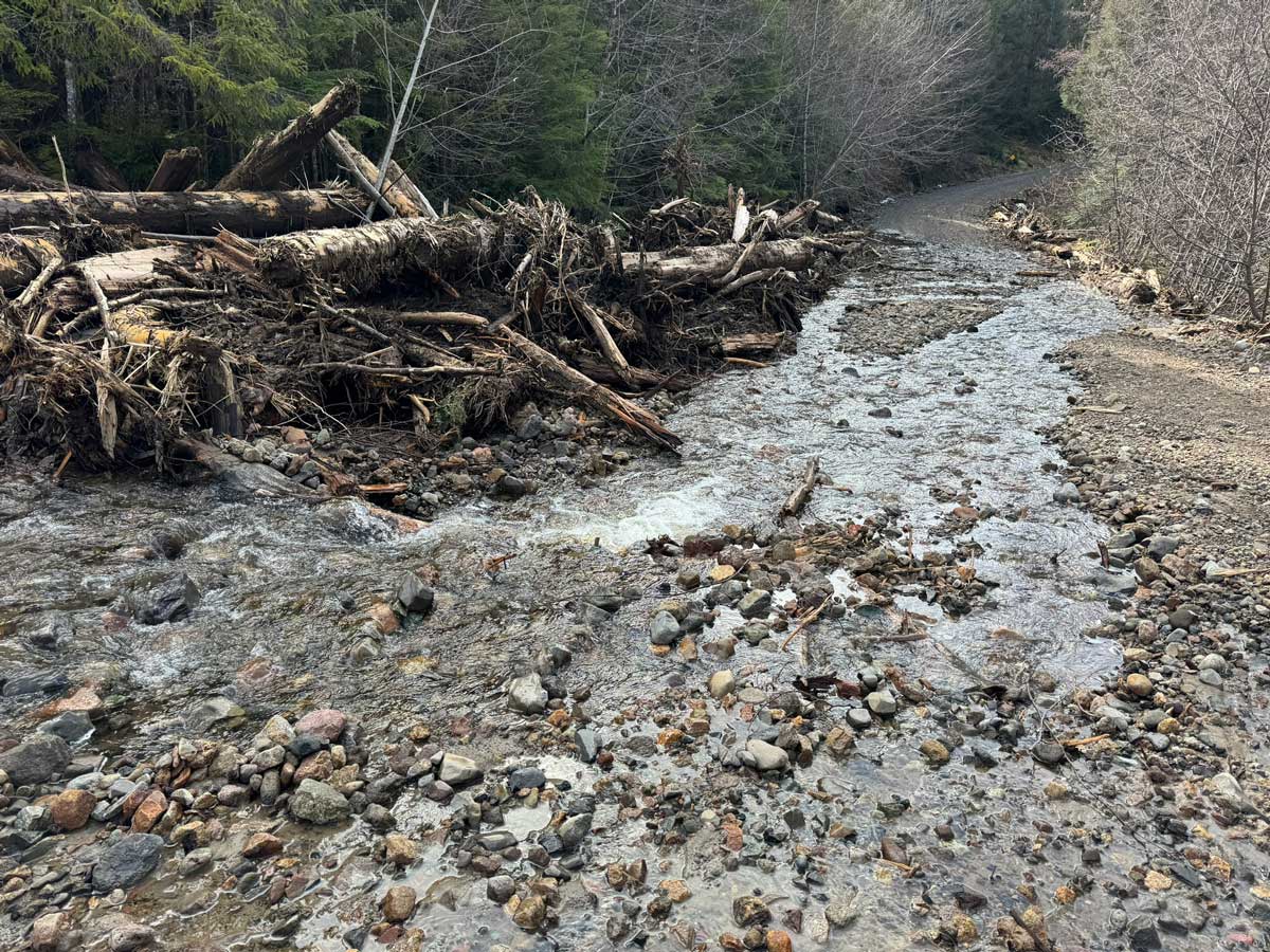 River obstructed by fallen trees and debris